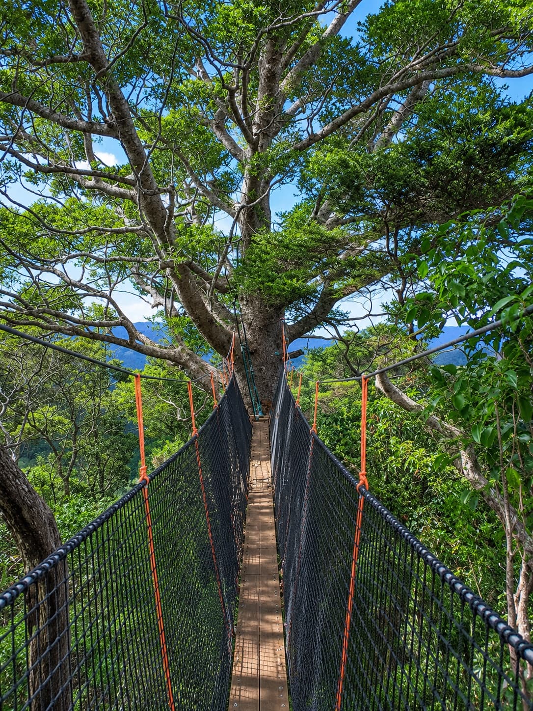 Walks through native flora and fauna