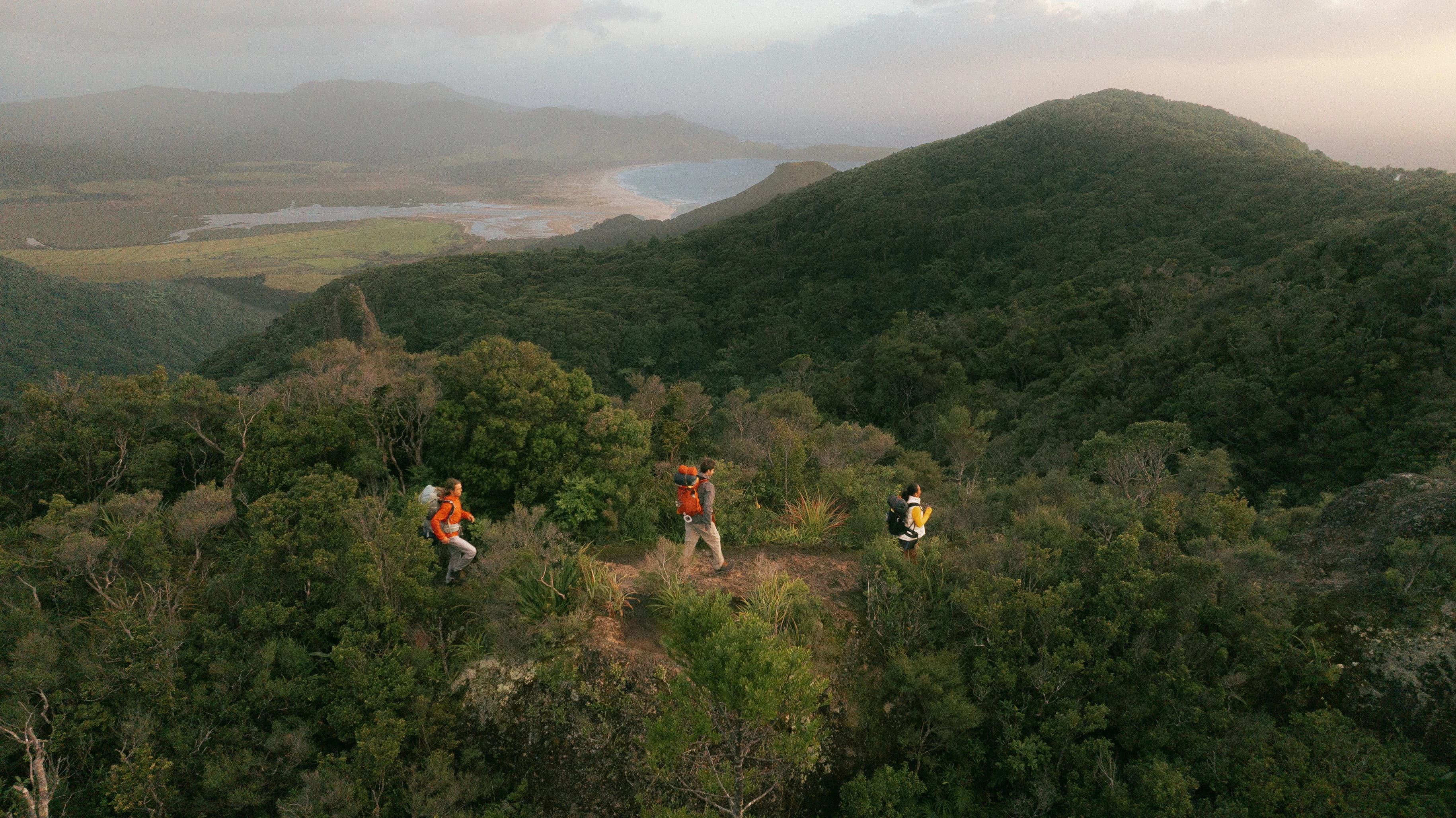 From short bush walks to days on the trail — birds, bush, and quiet