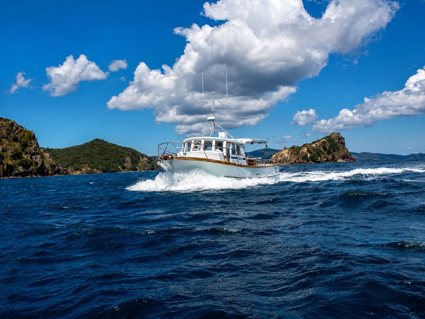 Sightseeing boat trips with morning tea and lunch onboard
